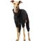 Show in main carousel: Canada Pooch Thermal Layer Dog Onesie, Black, 18 slide 2 of 6