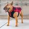 Show in main carousel: Canada Pooch Thermal Tech Fleece Dog Sweater, Red Plaid, 12 slide 5 of 7