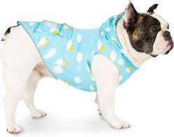 Canada Pooch Torrential Tracker Dog Raincoat, Blue Clouds, 8