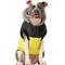 Show in main carousel: Canada Pooch True North Insulated Dog Parka, Yellow, 22 slide 2 of 6