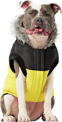 Show full view: Canada Pooch True North Insulated Dog Parka, Yellow, 22 slide 2 of 6