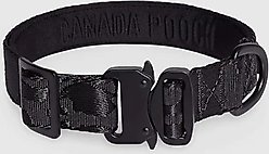 Canada Pooch Utility Dog Collar, Black Camo, Medium
