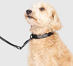 Canada Pooch Utility Dog Collar, Black Camo, Medium slide 2 of 6