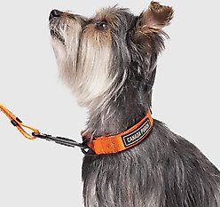 Canada Pooch Utility Dog Collar, Orange Camo, Large slide 2 of 6