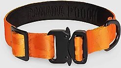 Canada Pooch Utility Dog Collar, Orange Camo, Medium