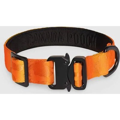 Canada Pooch Canada Pooch Utility Dog Collar, Orange Camo, Medium