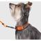 Show in main carousel: Canada Pooch Utility Dog Collar, Orange Camo, Medium slide 2 of 6