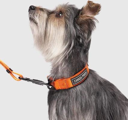 Show full view: Canada Pooch Utility Dog Collar, Orange Camo, Medium slide 2 of 6