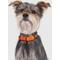 Show in main carousel: Canada Pooch Utility Dog Collar, Orange Camo, Medium slide 3 of 6
