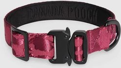 Canada Pooch Utility Dog Collar, Plum Camo, Medium