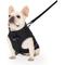 Show in main carousel: Canada Pooch Utility Parka Dog Raincoat, Black, size 12 slide 2 of 6