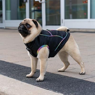 Show full view: Canada Pooch Utility Parka Dog Raincoat, Black, size 12 slide 5 of 6