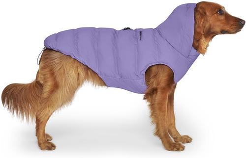 Show full view: Canada Pooch Waterproof Dog Puffer, Violet, 16-in slide 3 of 7