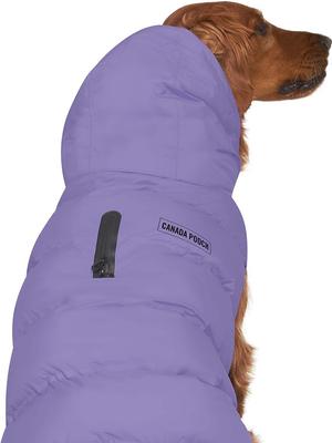 Show full view: Canada Pooch Waterproof Dog Puffer, Violet, 18-in slide 3 of 6