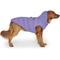 Show in main carousel: Canada Pooch Waterproof Dog Puffer, Violet, 22-in slide 2 of 6