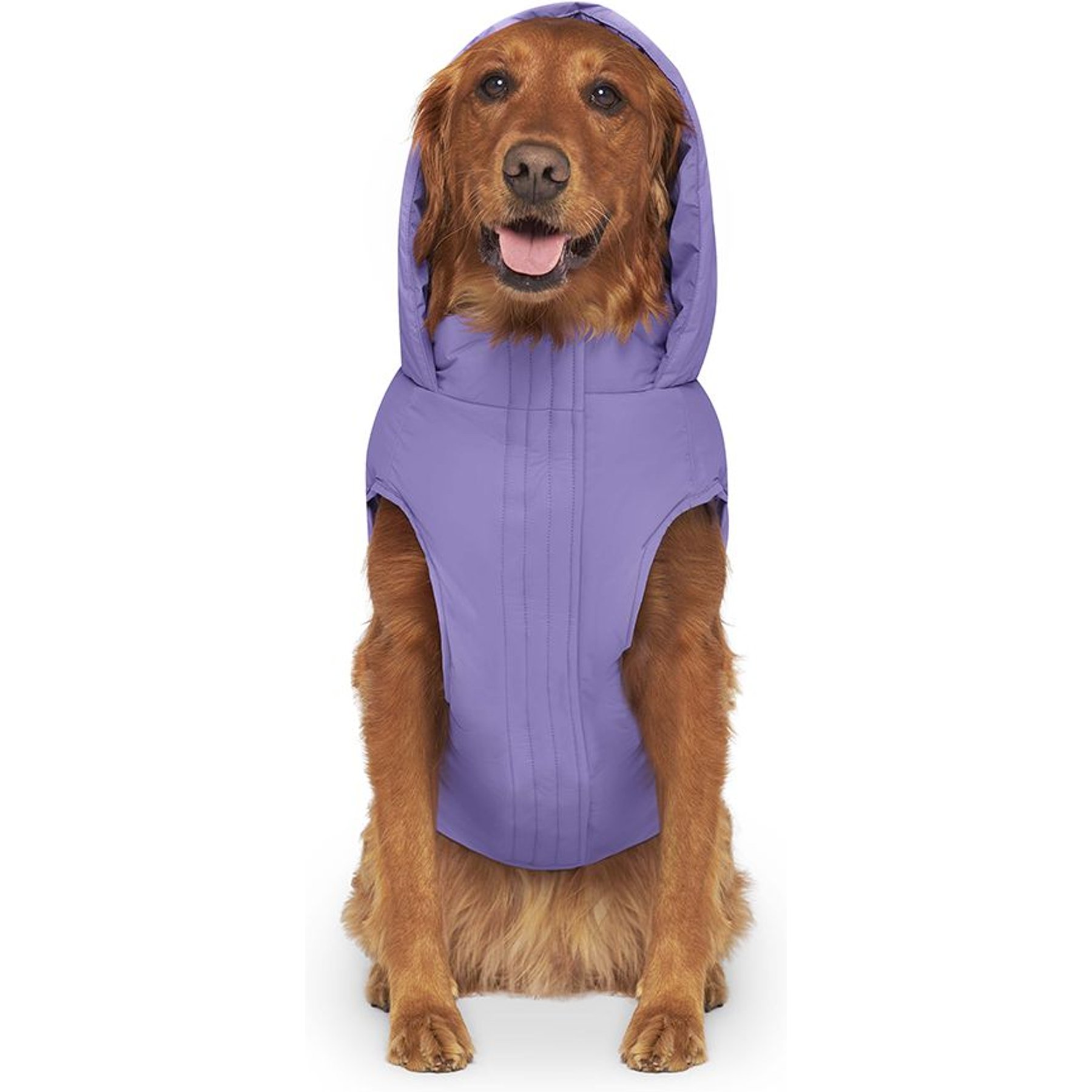 Canada Pooch Waterproof Dog Puffer, Violet, 28-in