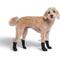 Show in main carousel: Canada Pooch Waterproof Dog Rain Boots, Black, size 1 slide 2 of 7