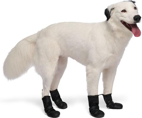 Show full view: Canada Pooch Waterproof Dog Rain Boots, Black, size 1 slide 3 of 7