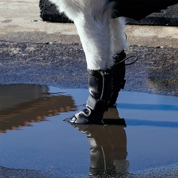 Show full view: Canada Pooch Waterproof Dog Rain Boots, Black, size 2 slide 5 of 7
