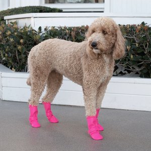 Canada Pooch Waterproof Rain Dog Boot, Pink, 4