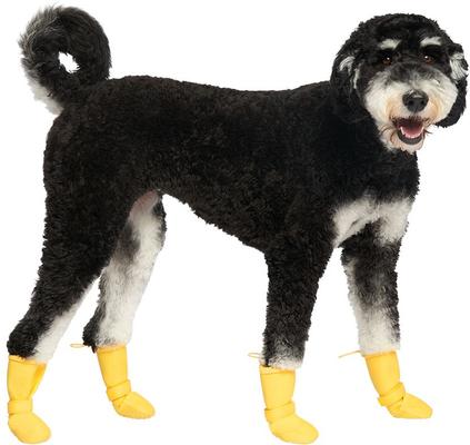 Show full view: Canada Pooch Waterproof Rain Dog Boots, Yellow, 1 slide 3 of 8