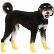 Show in main carousel: Canada Pooch Waterproof Rain Dog Boots, Yellow, 3 slide 2 of 7