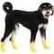 Show in main carousel: Canada Pooch Waterproof Rain Dog Boots, Yellow, 3 slide 2 of 7