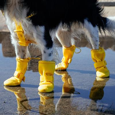 Show full view: Canada Pooch Waterproof Rain Dog Boots, Yellow, 3 slide 5 of 7