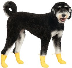 Canada Pooch Waterproof Rain Dog Boots, Yellow, 4 slide 2 of 6