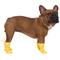 Show in main carousel: Canada Pooch Waterproof Rain Dog Boots, Yellow, 5 slide 3 of 7