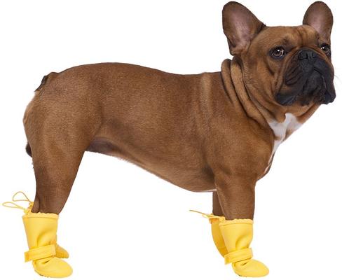Show full view: Canada Pooch Waterproof Rain Dog Boots, Yellow, 6 slide 3 of 7