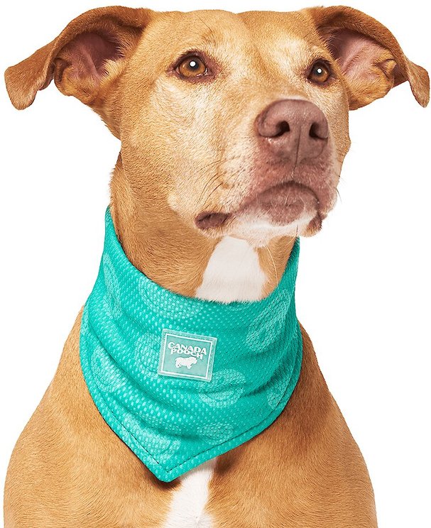 CANADA POOCH Cooling Dog Vest, Popsicles, 22