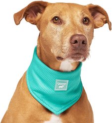 Canada Pooch Wet Reveal Smiley Cooling Dog Bandana, Medium slide 2 of 3