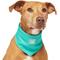 Show in main carousel: Canada Pooch Wet Reveal Smiley Cooling Dog Bandana, Medium slide 2 of 4