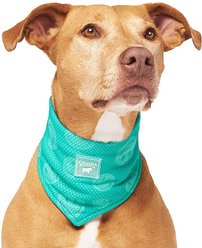 Canada Pooch Wet Reveal Smiley Cooling Dog Bandana, Small