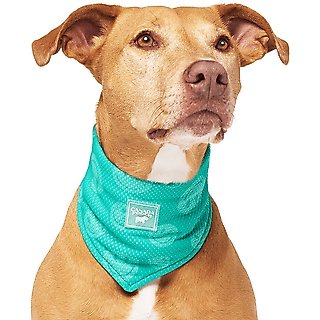 Canada Pooch Wet Reveal Smiley Cooling Dog Bandana, Small slide 1 of 3