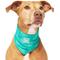 Show in main carousel: Canada Pooch Wet Reveal Smiley Cooling Dog Bandana, Small slide 1 of 4