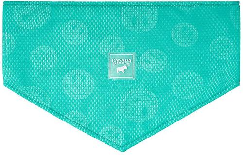 Show full view: Canada Pooch Wet Reveal Smiley Cooling Dog Bandana, Small slide 3 of 4