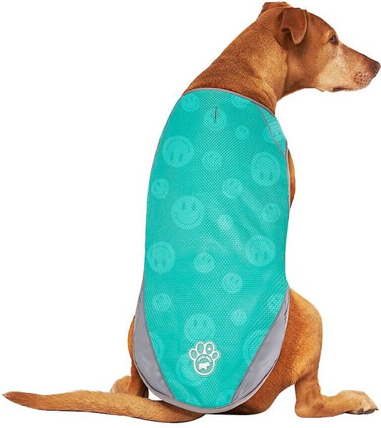 Canada Pooch Wet Reveal Smiley Cooling Dog Vest