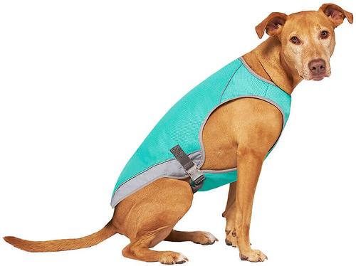 Show full view: Canada Pooch Wet Reveal Smiley Cooling Dog Vest, 24 slide 2 of 6