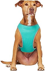 Canada Pooch Wet Reveal Smiley Cooling Dog Vest, 28