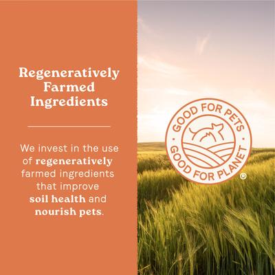 Show full view: CANIDAE All Life Stages Real Salmon & Ancient Grains Recipe Dry Dog Food, 27-lb bag slide 7 of 10