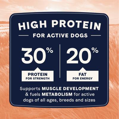 Show full view: CANIDAE All Life Stages Salmon Recipe High Protein Dry Dog Food, 4-lb bag slide 5 of 11