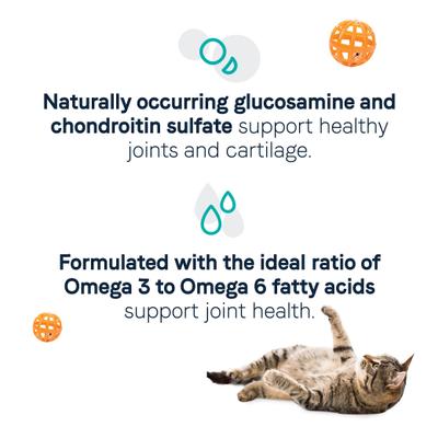 Show full view: CANIDAE Goodness for Joints Real Salmon Adult Dry Cat Food, 10-lb bag slide 5 of 7