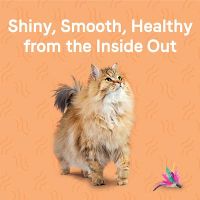 Show full view: CANIDAE Goodness for Skin & Coat Real Salmon Adult Dry Cat Food, 10-lb bag slide 4 of 7