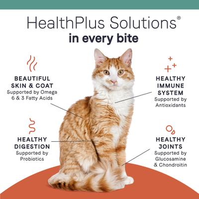 Show full view: CANIDAE Grain-Free PURE Limited Ingredient Chicken Recipe Dry Cat Food, 10-lb bag slide 8 of 10