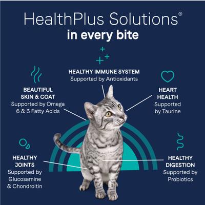 Show full view: CANIDAE Grain-Free PURE Limited Ingredient Salmon Recipe Dry Cat Food, 5-lb bag slide 5 of 10