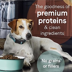 CANIDAE Grain-Free PURE Limited Ingredient Salmon & Sweet Potato Recipe Dry Dog Food, 12-lb bag