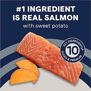 CANIDAE Grain-Free PURE Limited Ingredient Salmon & Sweet Potato Recipe Dry Dog Food, 4-lb bag