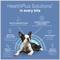 Show in main carousel: CANIDAE Grain-Free PURE Petite Salmon Formula Small Breed Puppy Limited Ingredient Freeze-Dried Raw Coated Dry Dog Food, 4-lb bag slide 8 of 11